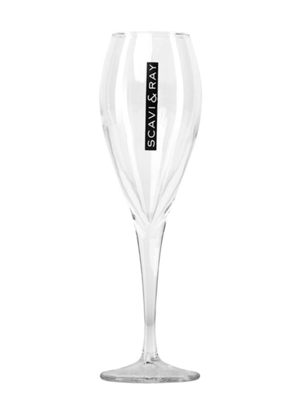 Proseccoglas SCAVI & RAY 36er Rack